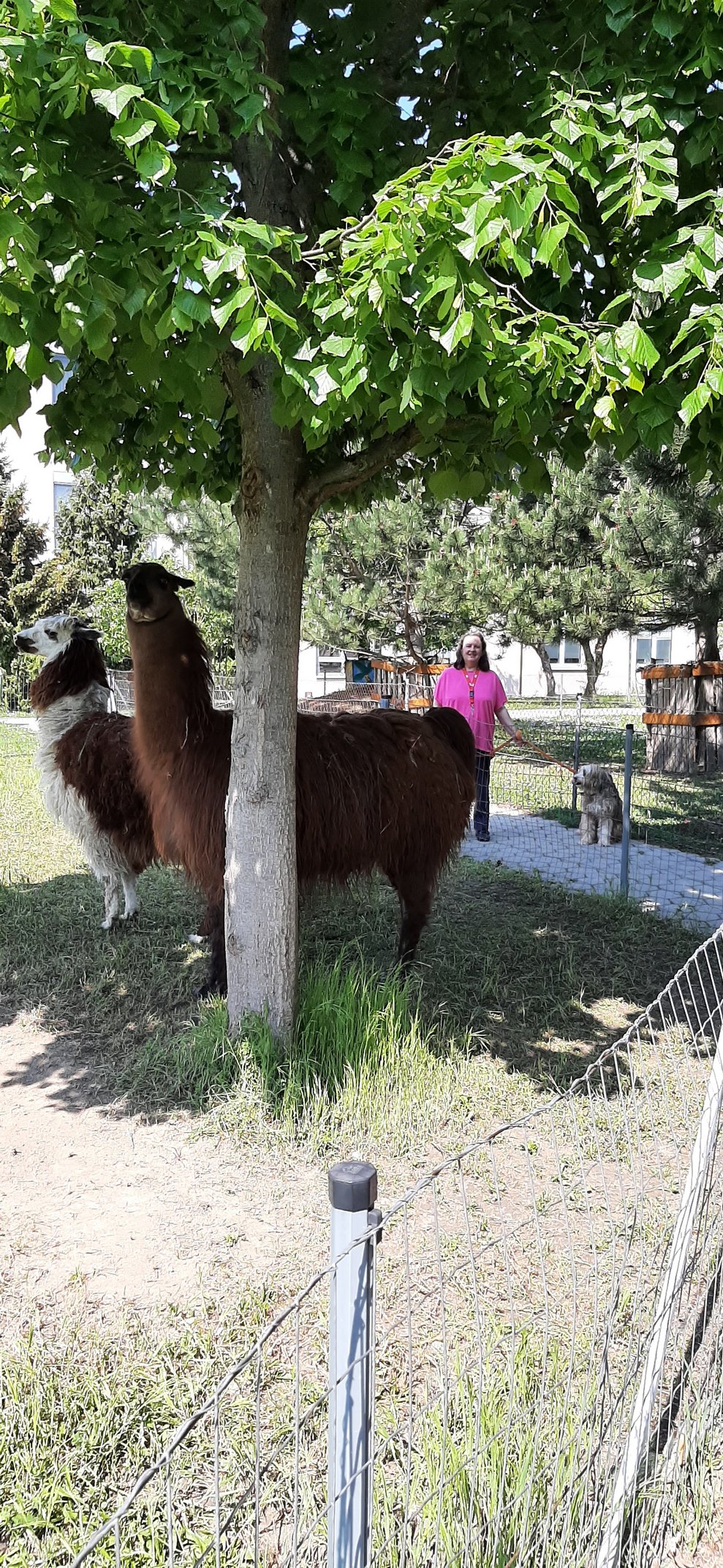 Besucher