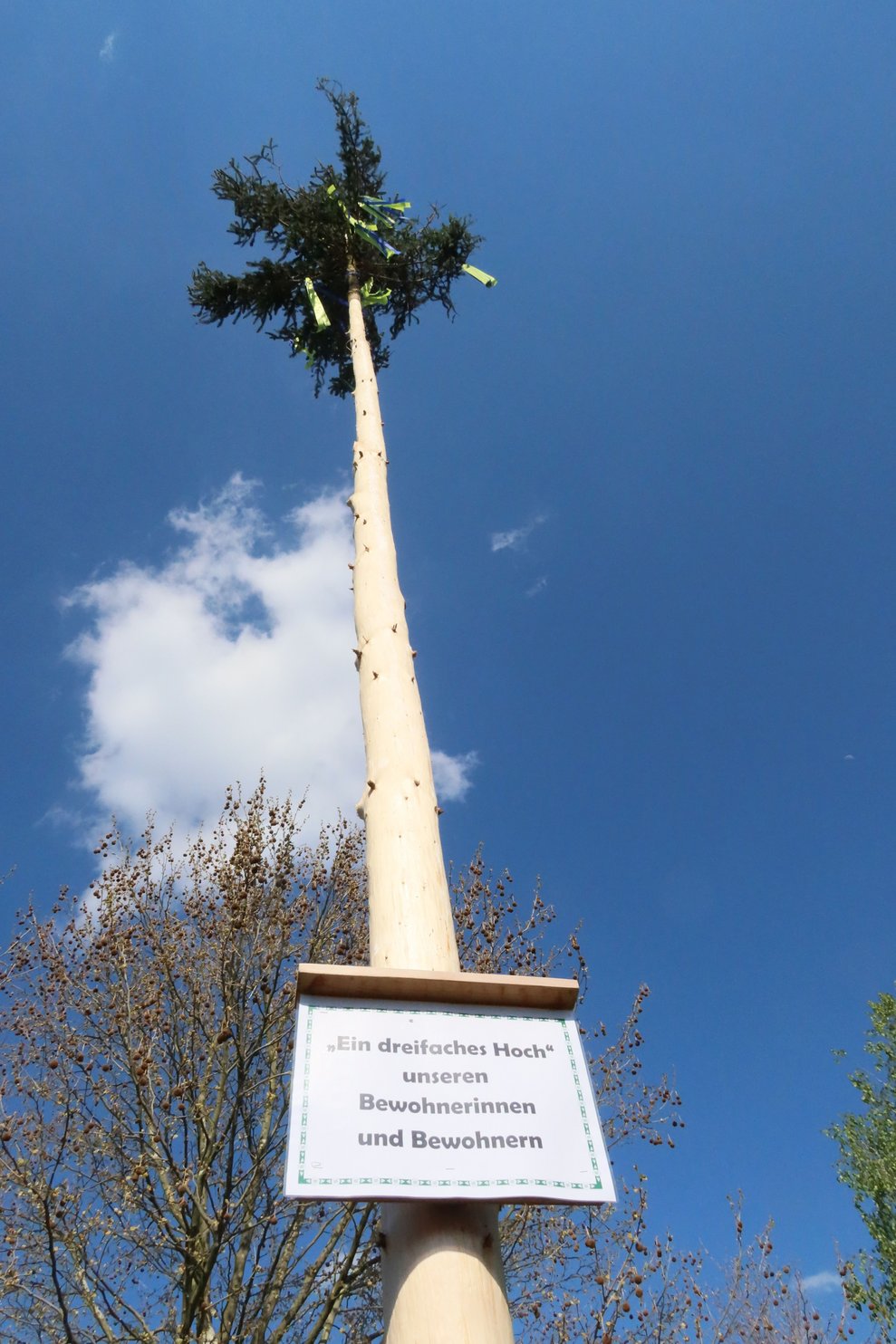 Maibaum
