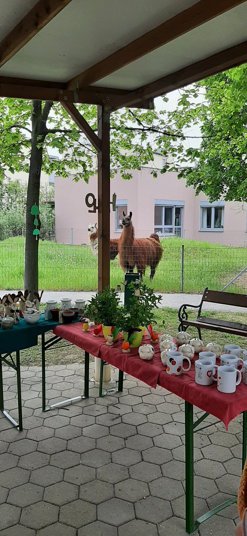 beim Markt
