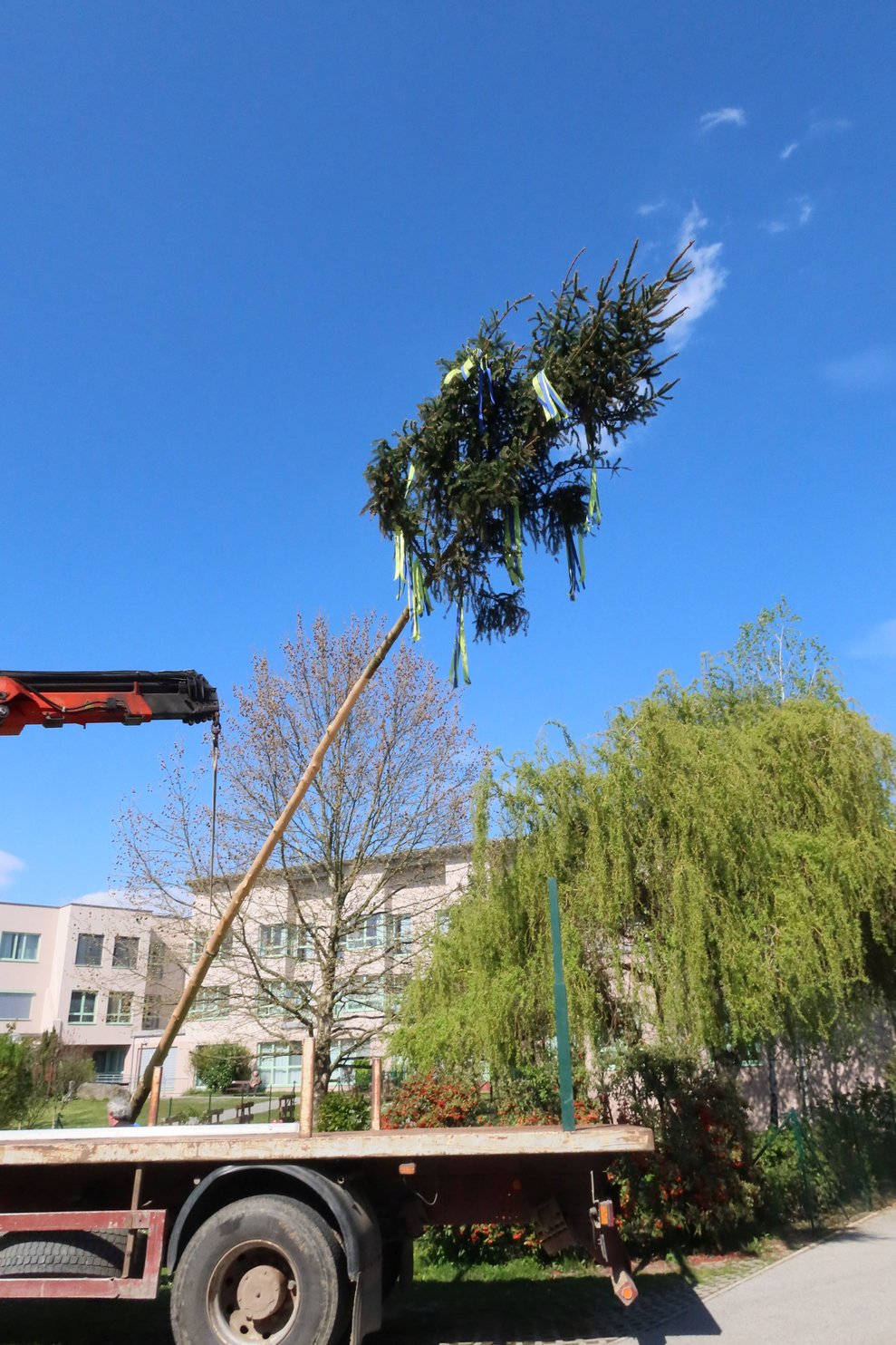 Maibaum